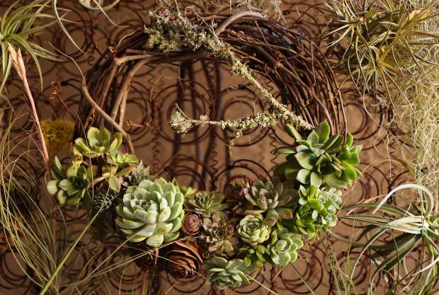 A small branch with lichen makes a nice seasonal addition to this succulent wreath made by Sonoma County Master Gardener Kim Pearson. (Christopher Chung / The Press Democrat)