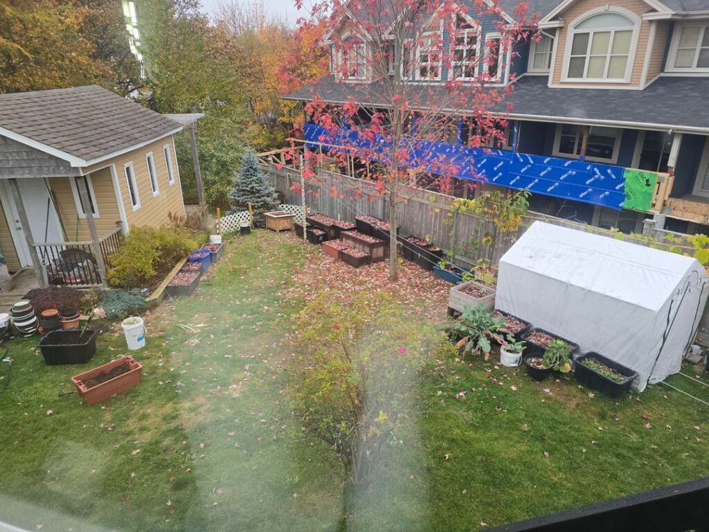 Bedded down for winter