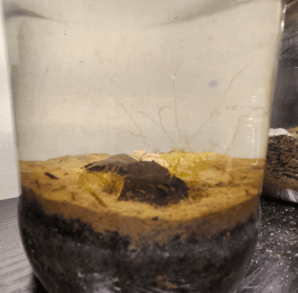 “crashed” ecosphere coming back to life "crashed" ecosphere coming back to life