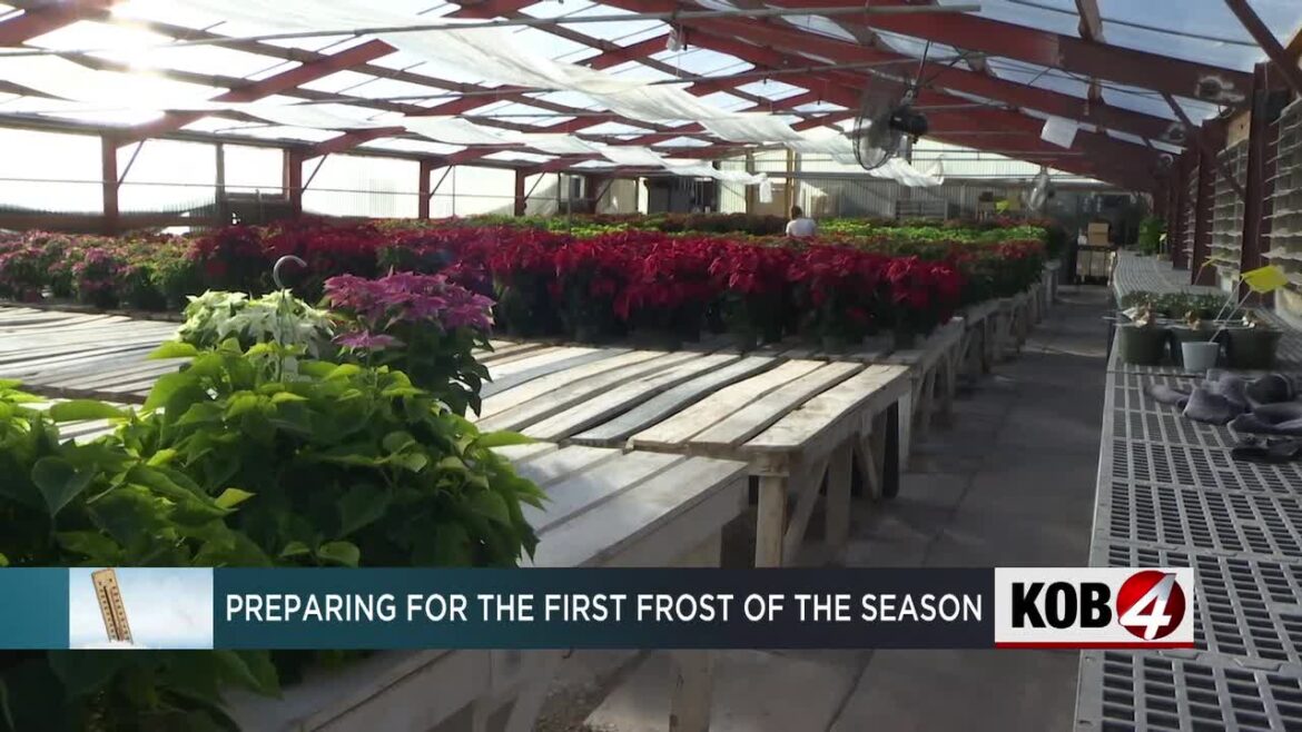 Metro gardeners brace for first freeze of the season Metro gardeners brace for first freeze of the season