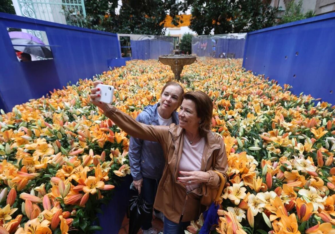 Cordoba's massive flower festival transforms city into garden of art and blooms