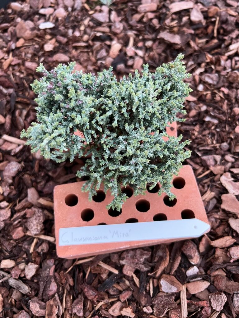 Has anybody seen anything like this?