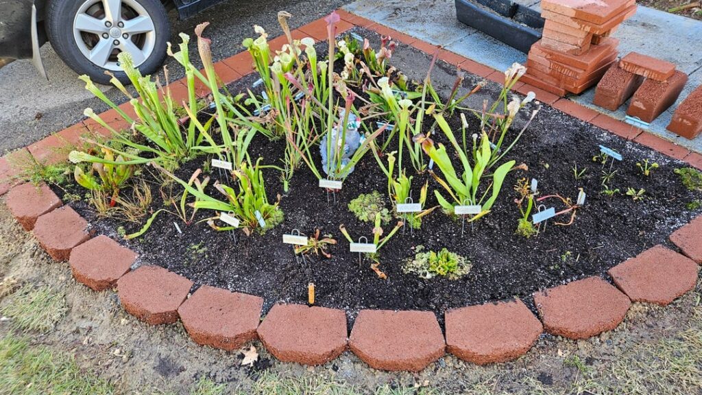 Finished my 42cu ft Inground Bog Garden. Thought I could get it done in a single weekend, ended up taking all my weekends for the month of October. Finished my 42cu ft Inground Bog Garden. Thought I could get it done in a single weekend, ended up taking all my weekends for the month of October.