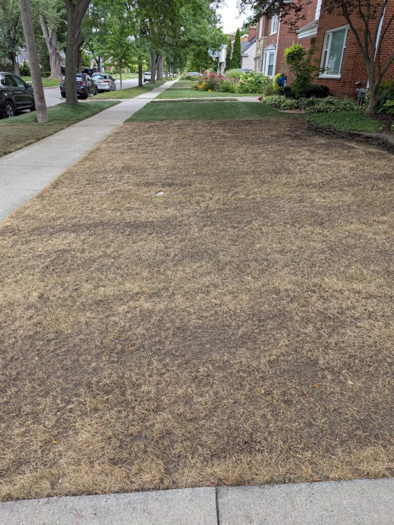 Final Thank You - SE Michigan