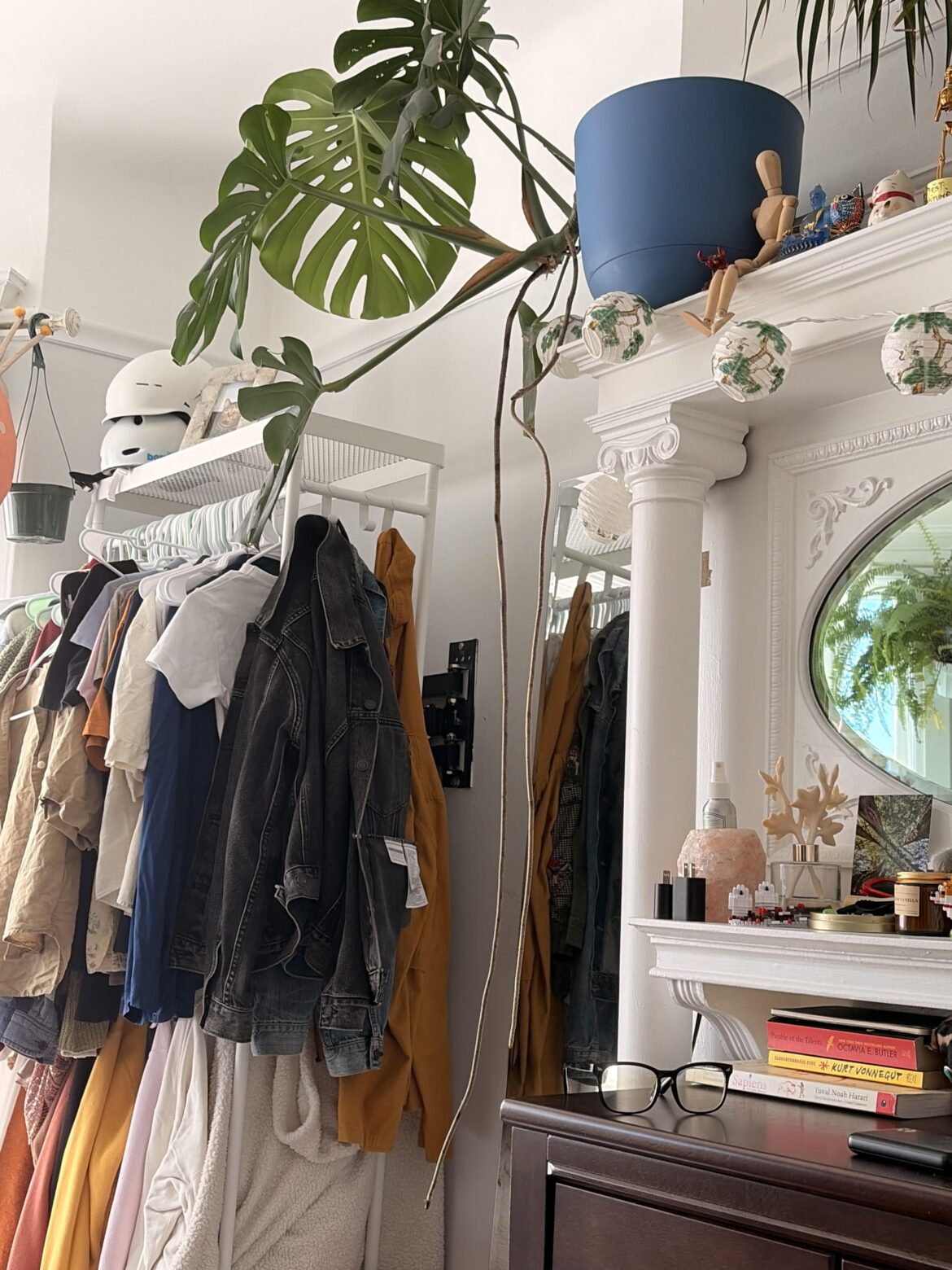 my monstera is going to walk away