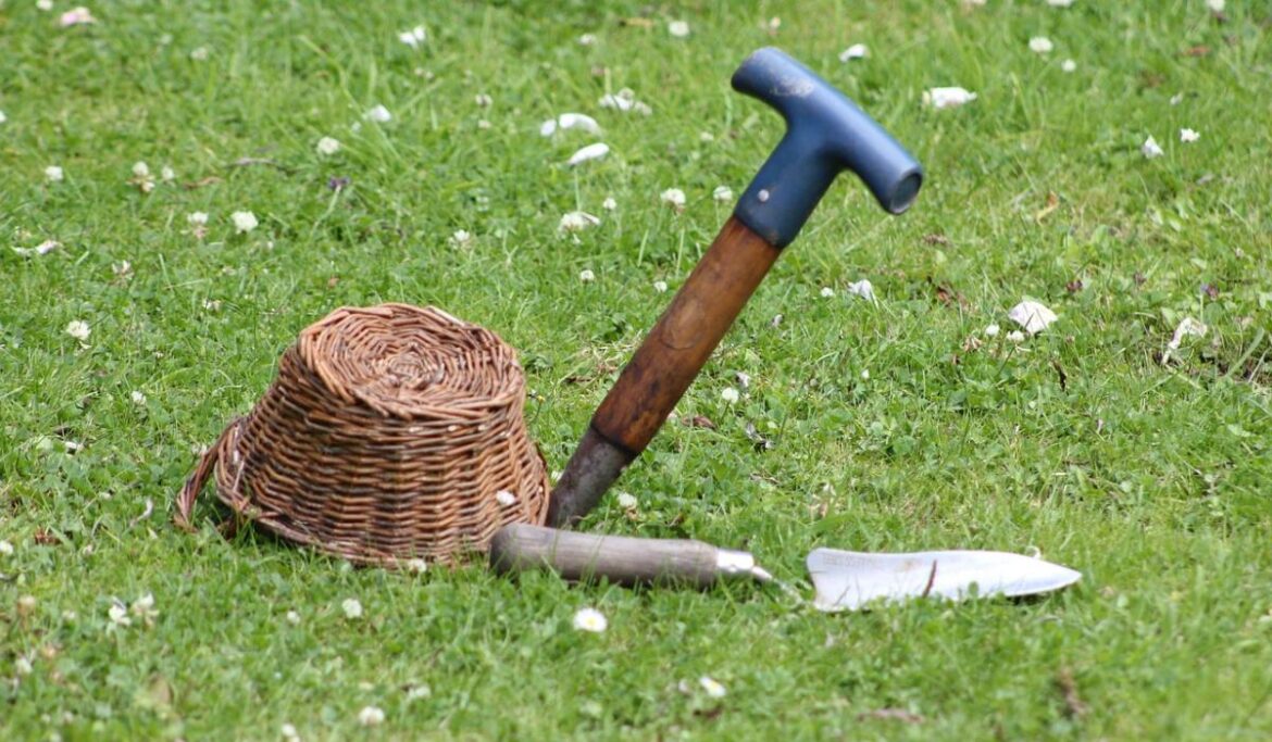 Gardening: Time to get the tools out