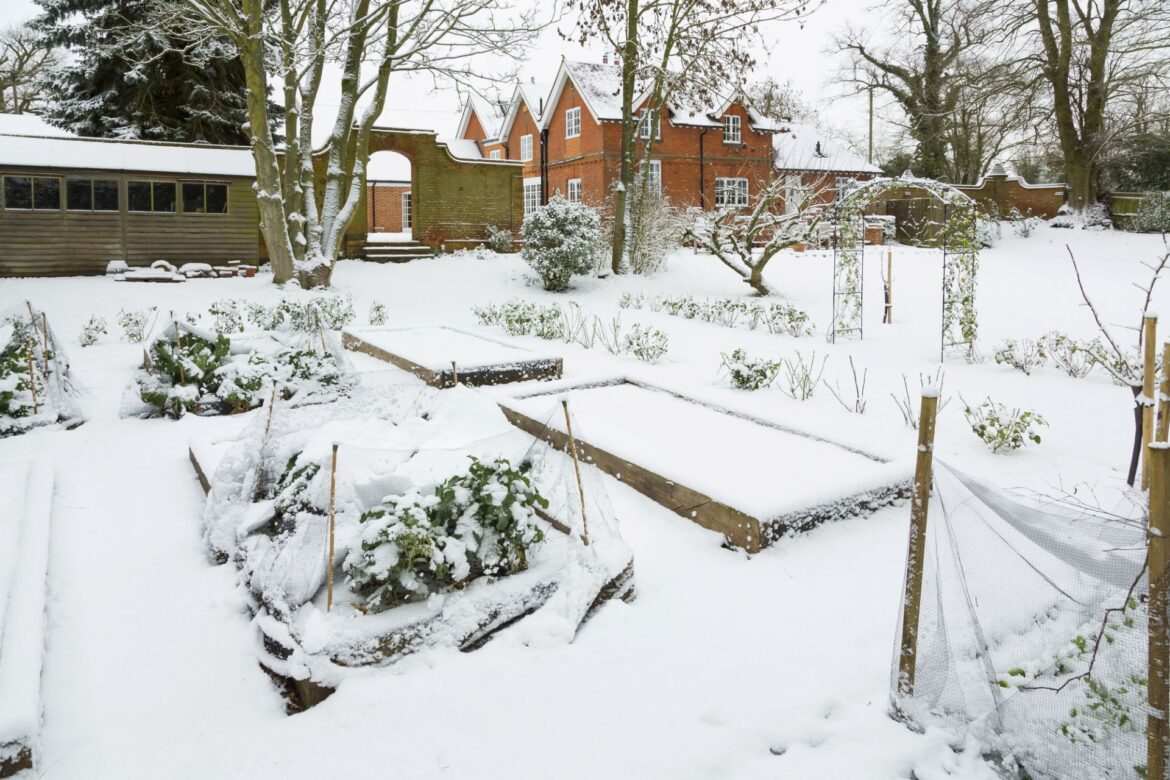 Gardener shares simple hack for thriving plants through winter: ‘Hope to have luck’ Growing your food is a great way to enjoy healthy produce while saving a few bucks at the grocery store.