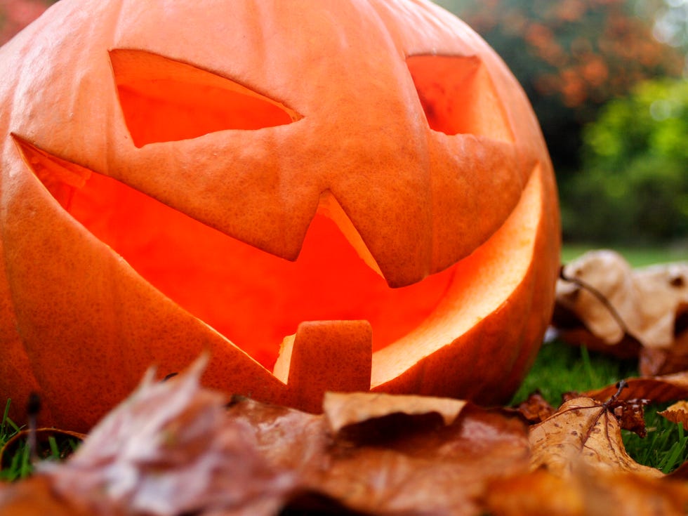 Jack-o-lantern carved pumpkin for halloween in garden