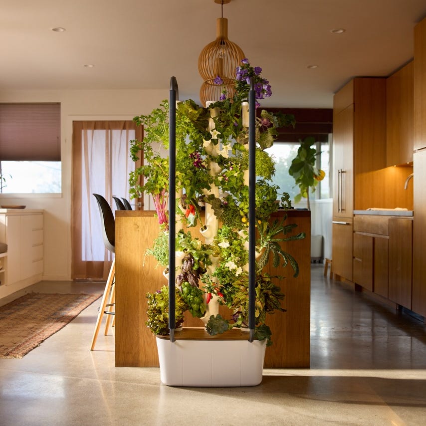 gardyn indoor garden system indoor vertical garden with various plants