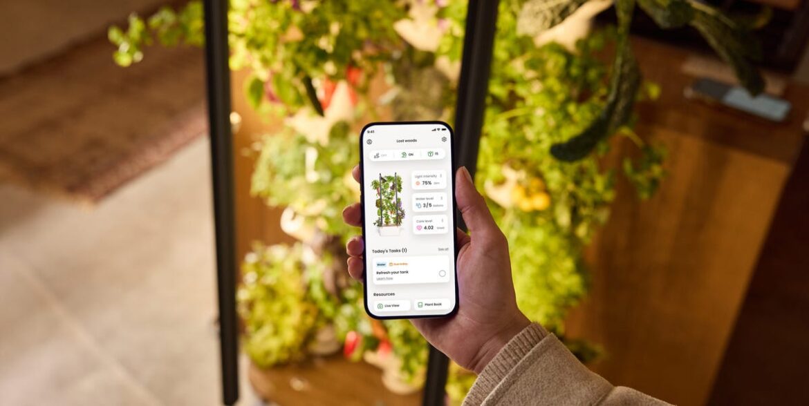 I’m Obsessed with This Indoor Garden I Tested for Our Kitchen Awards I’m Obsessed with This Indoor Garden I Tested for Our Kitchen Awards