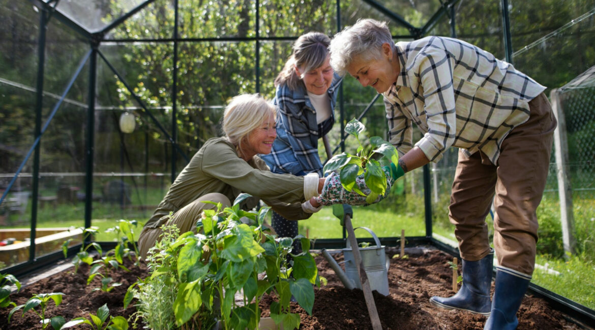 CCE Saratoga Offers Master Gardener Educational Program Saratoga Master Gardener