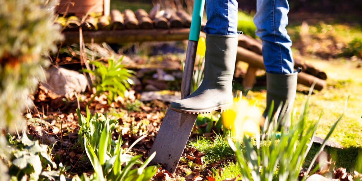 From crab apples to cobnuts, 7 best plants for autumn colour and seasonal fruit (plus the one job to do now)
