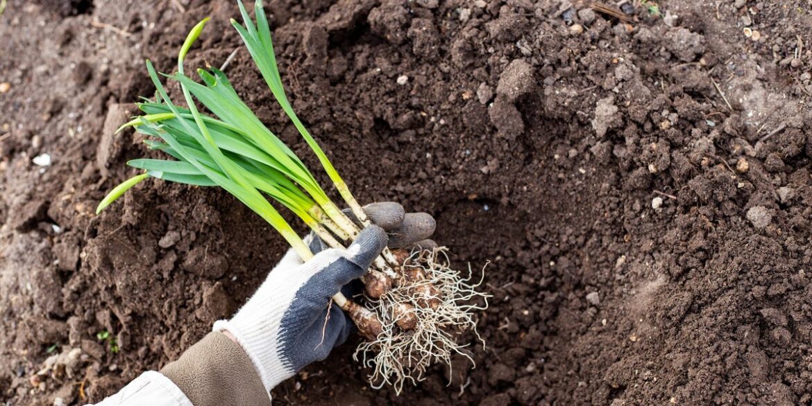12 Vegetables and Flowers to Plant This October Before It’s Too Late 12 Vegetables and Flowers to Plant This October Before It's Too Late