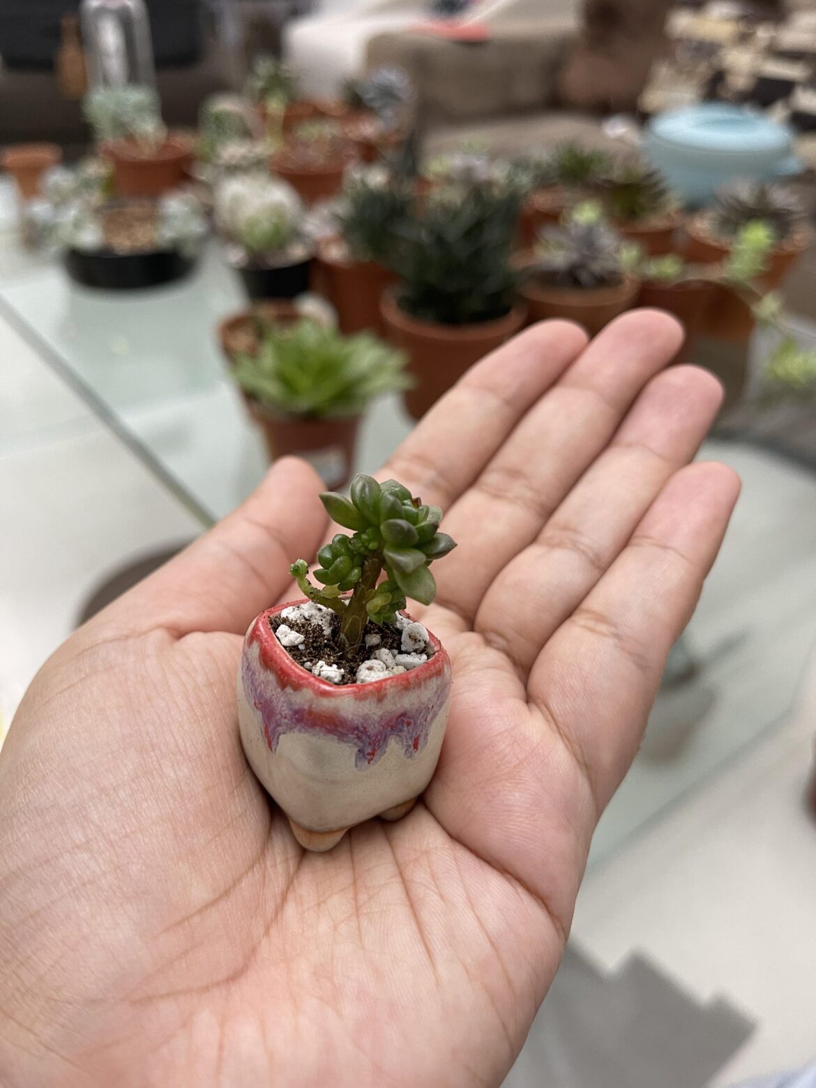 Im just a baby!