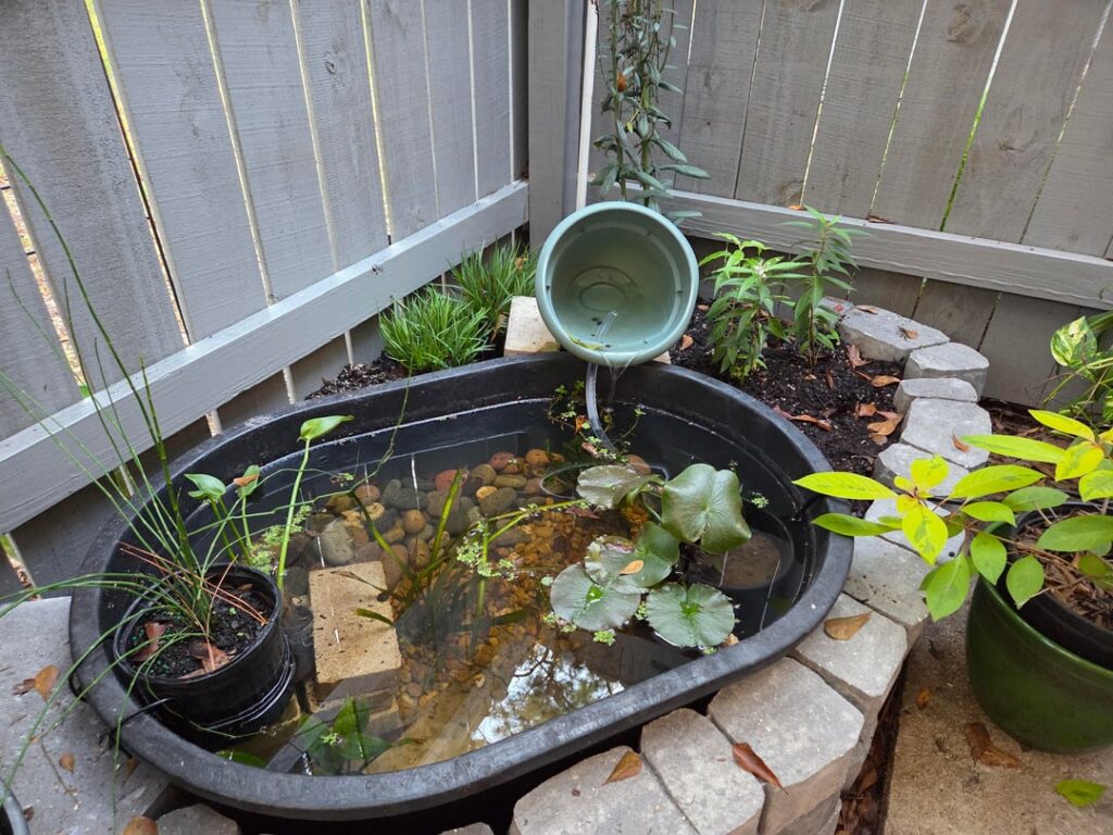 Still some work to be done but too excited not to share my little native patio pond Still some work to be done but too excited not to share my little native patio pond
