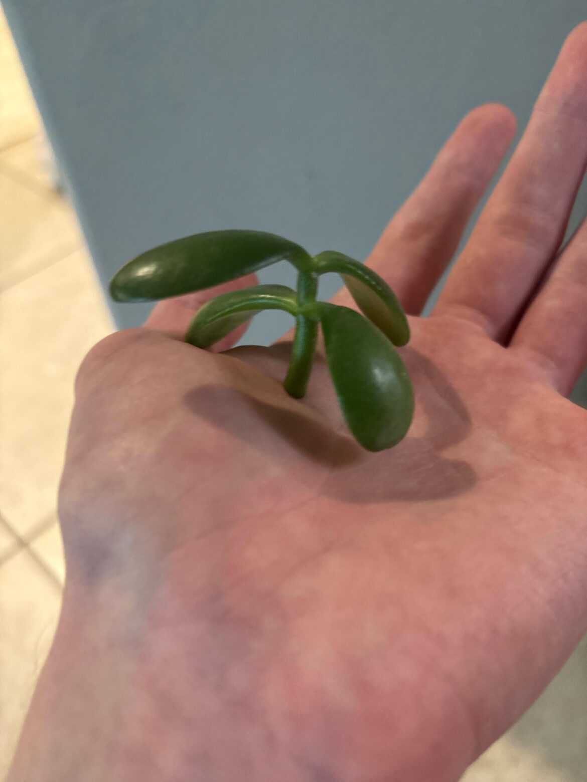 What would the next move be with this