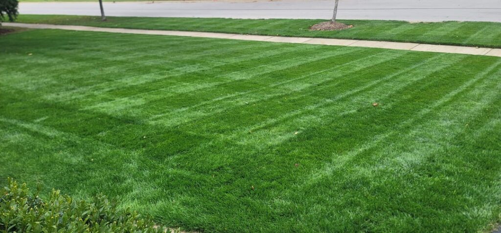 As good as it’s going to get this year in N IL As good as it's going to get this year in N IL