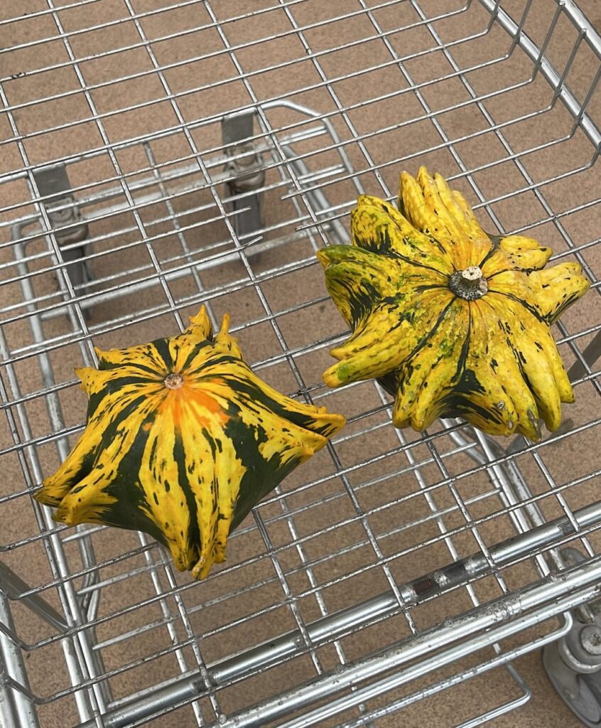 Obsessed with this star shaped squash i brought 🎃⭐️