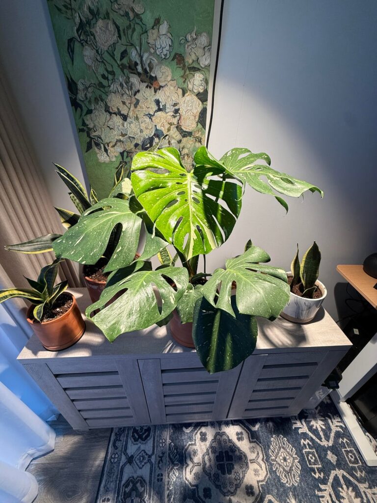 She’s all grown up after 6 months