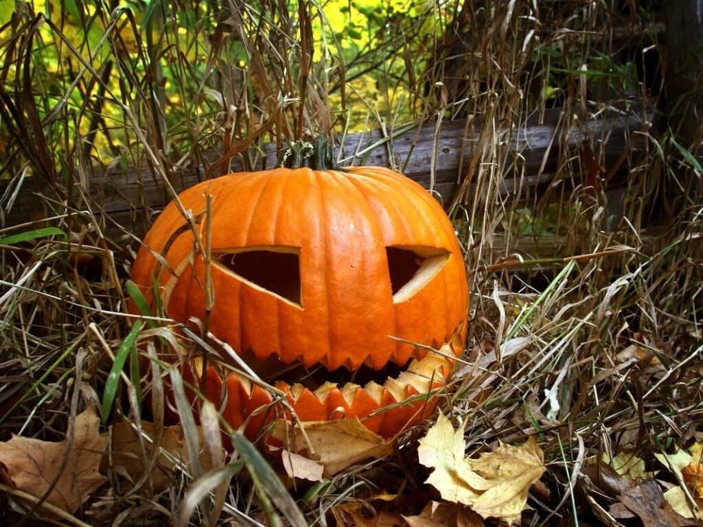 Halloween Fun Coming To PHS Pop Up Garden In Manayunk Patch News