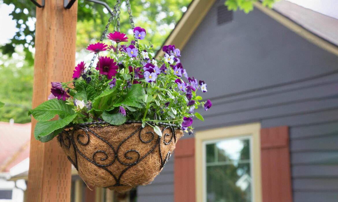A hanging basket filled with purple and white flowers is suspended near a house with gray siding and brown trim, surrounded by greenery on a bright day.