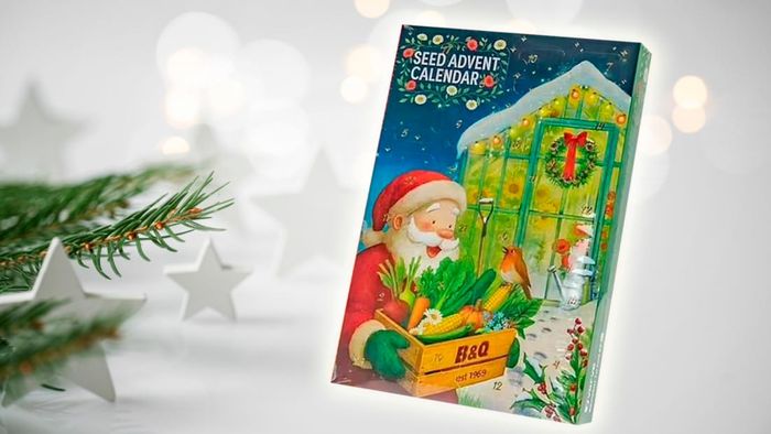 B&Q seed advent calendar is perfect for gardeners Google Play Button