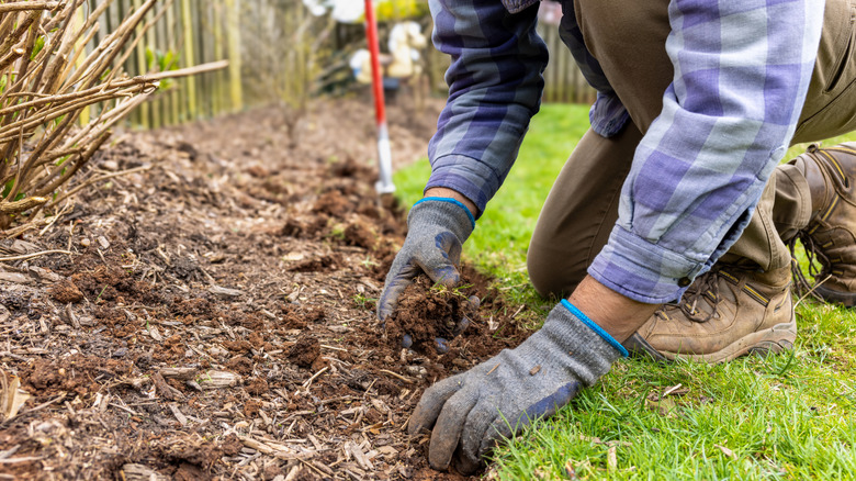 A person cleaning up flower bed before mulching