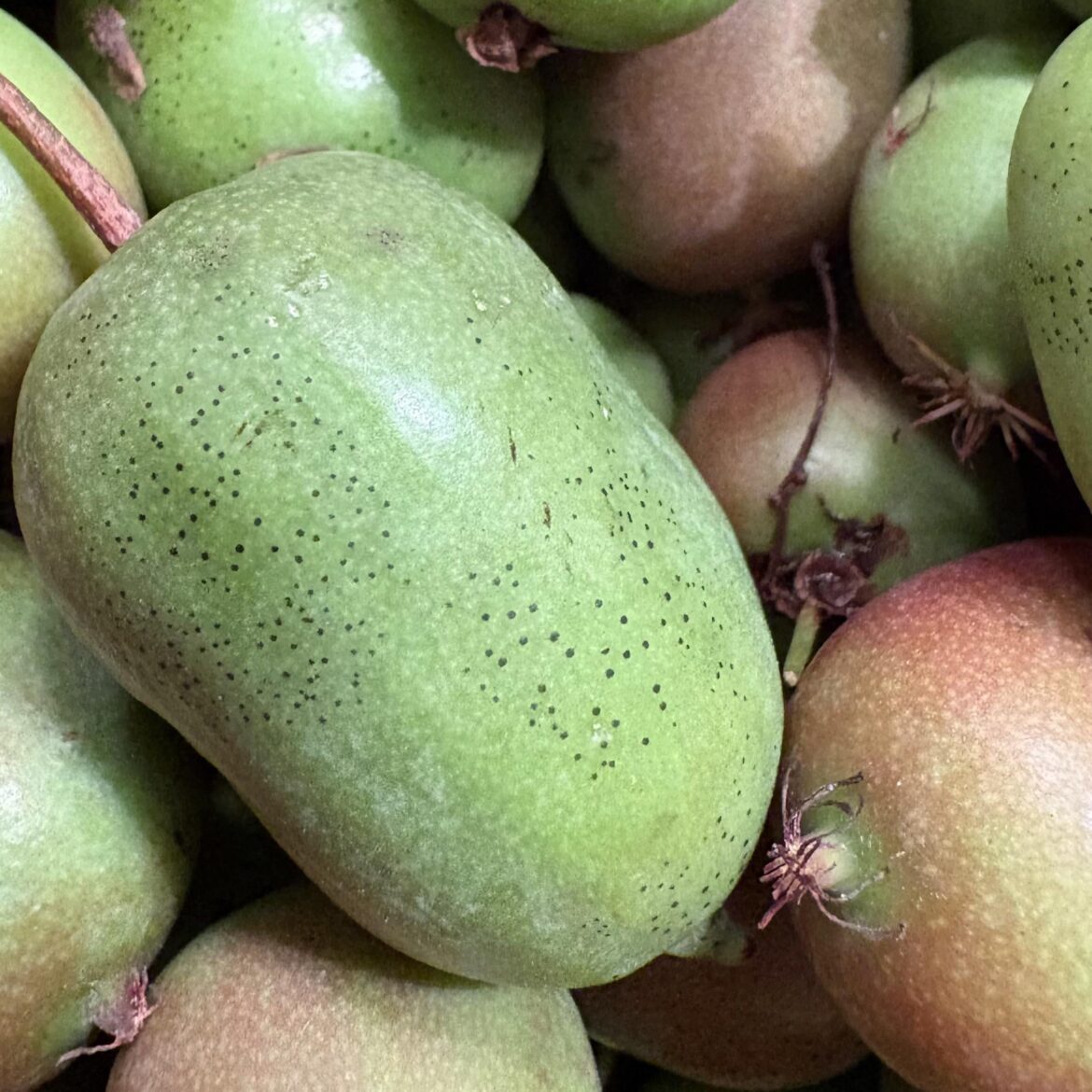 What are these black spots in my kiwiberries