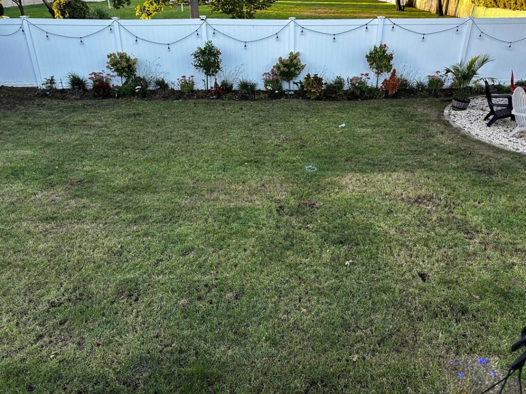 Two weeks turnaround! Two weeks turnaround!