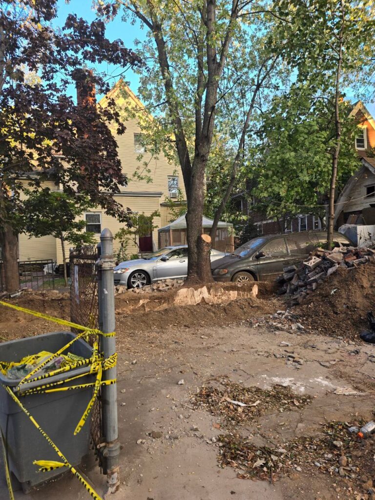 Fence crew cut through the roots, will this tree die / fall over?