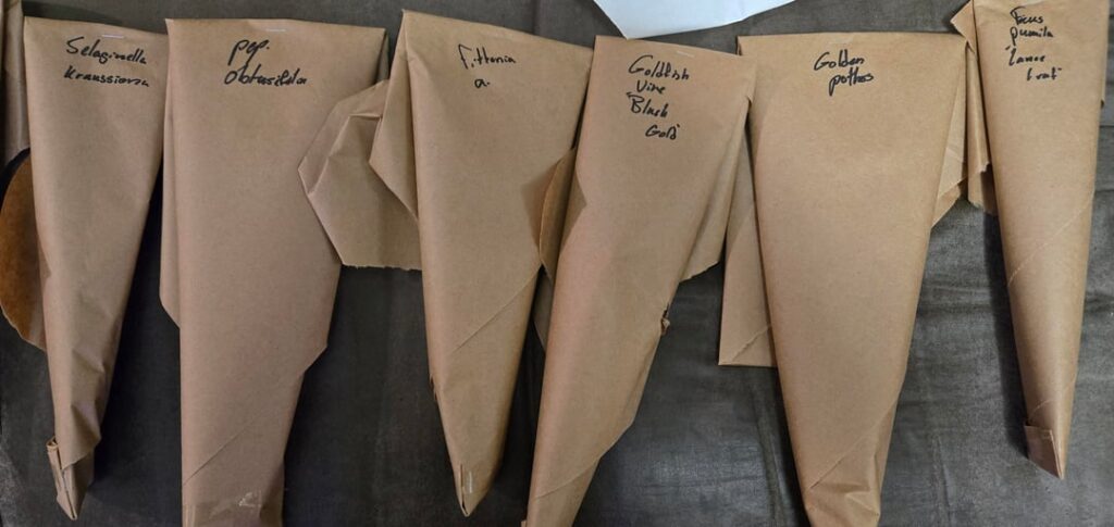 First shipment arrived! First shipment arrived!