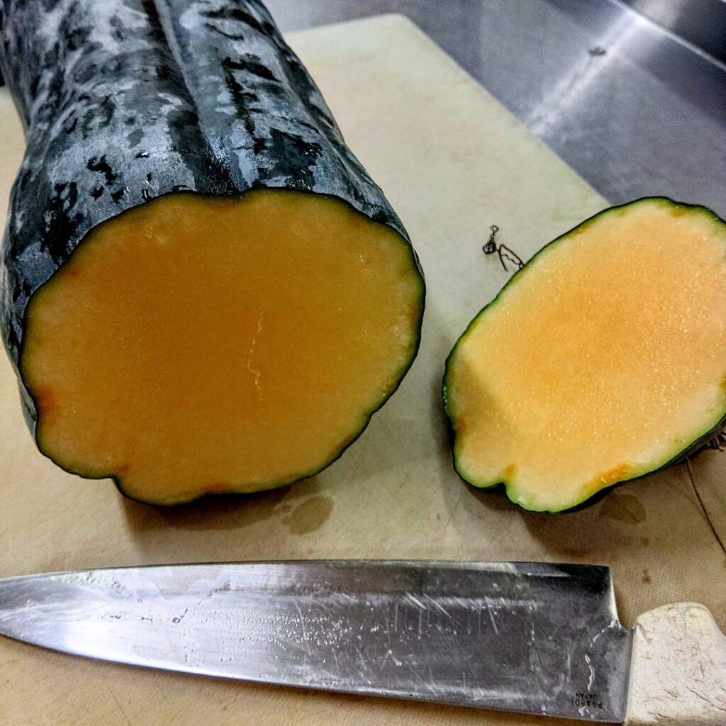 Sasquash Update Sasquash Update