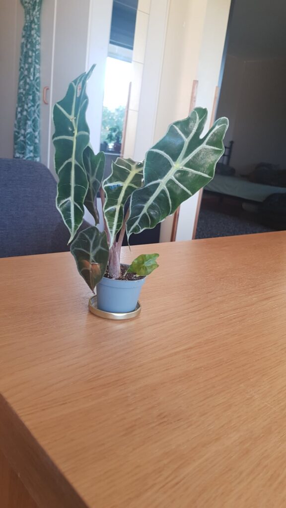 Whats wrong with him and how to I make him happy? Whats wrong with him and how to I make him happy?