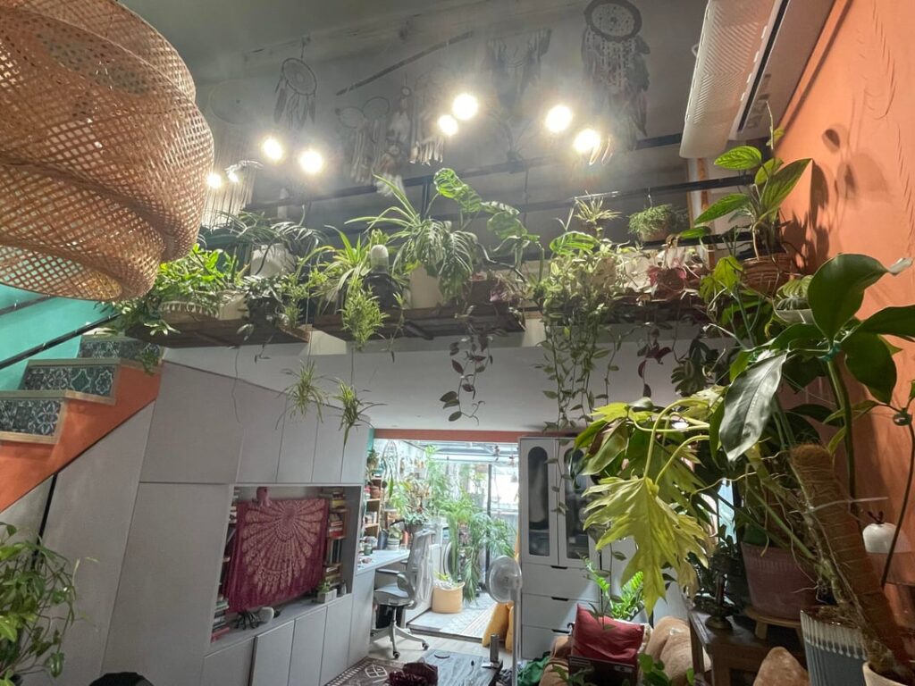 No one believed I could fit this many plants into my new flat No one believed I could fit this many plants into my new flat