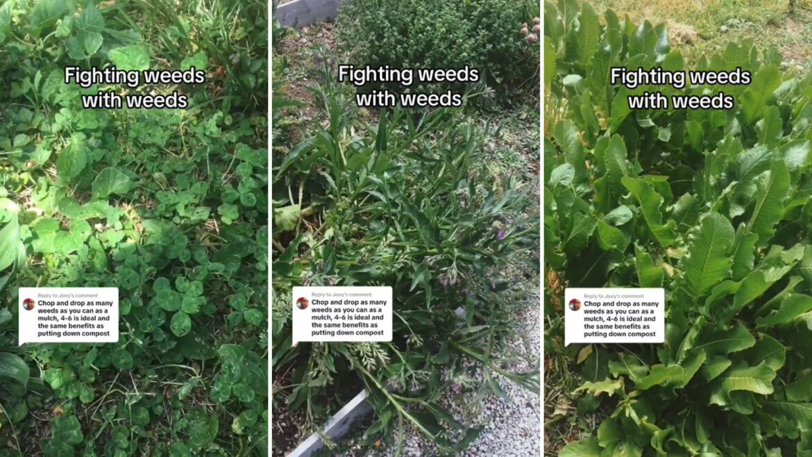 ‘It won’t be long before you don’t have enough of them’ "Love this!"