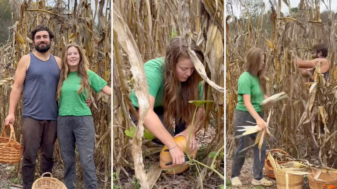 Gardeners demonstrate low-effort technique for thriving vegetables: ‘You can’t beat this’ A TikTok video demonstrates how to set up a Three Sisters patch to grow your own food with as little effort as possible.