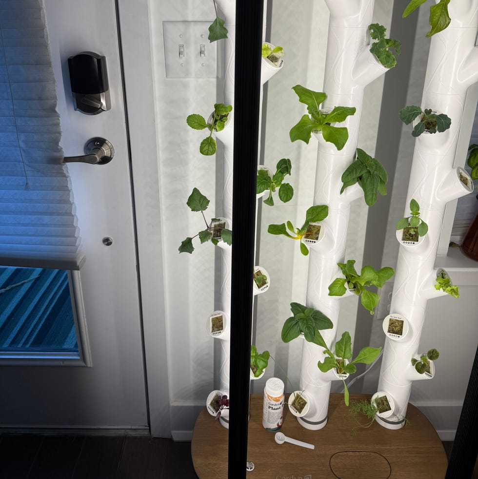 Gardyn 4.0 gardyn inside of home