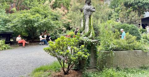 Mamdani Wants to Kill Elizabeth St. Garden, Build Affordable Housing Mamdani Wants to Kill Elizabeth St. Garden, Build Affordable Housing