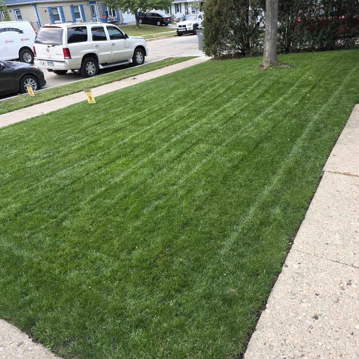 Winter Dormant Winter Dormant