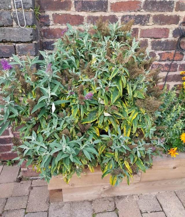 "Someone had to tell them."