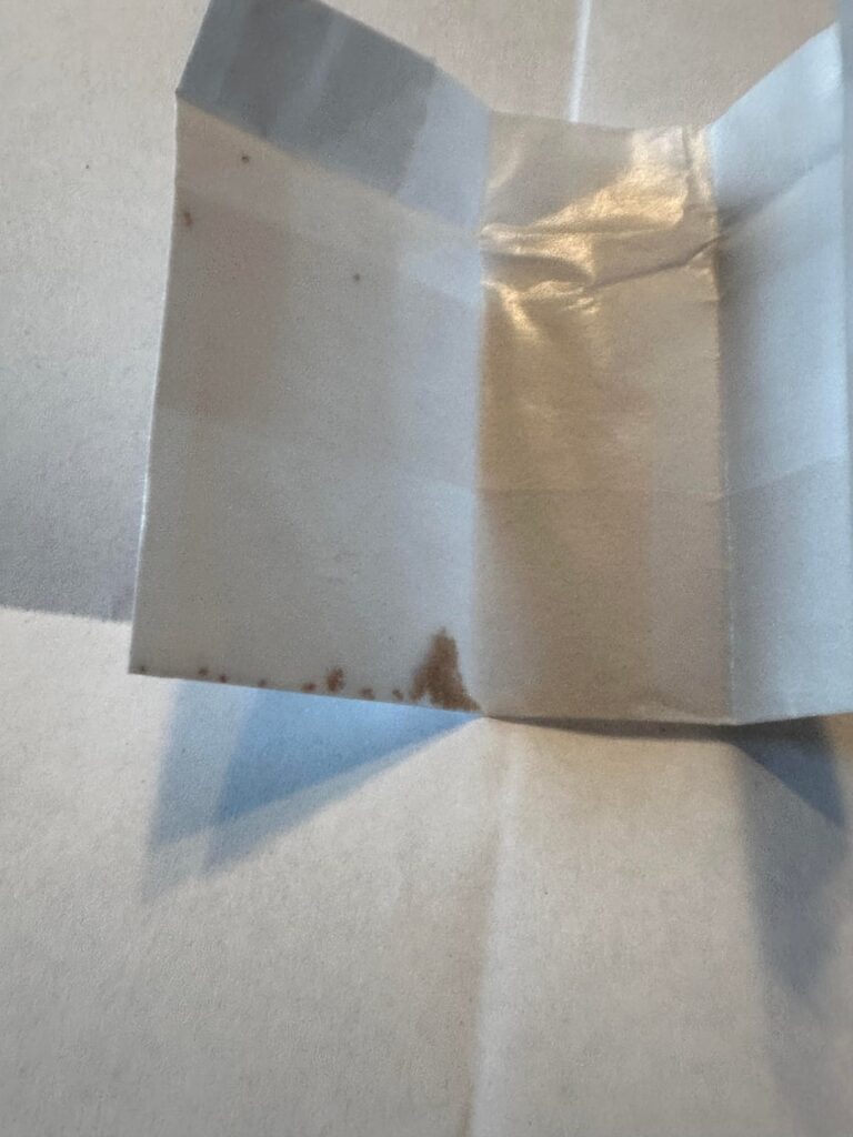 I sowed some Lithops seeds today. I sowed some Lithops seeds today.