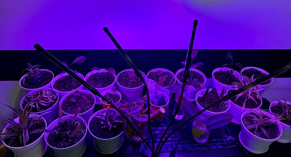 Small kitchen pro setup