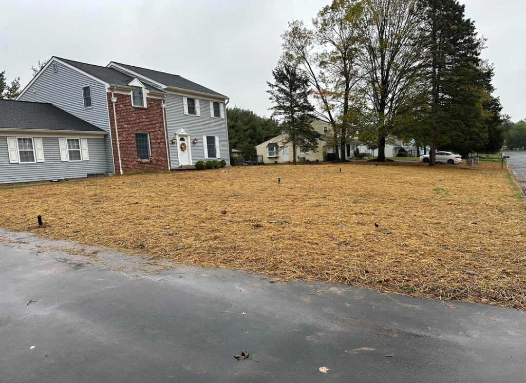 Seeded Oct 11. I am hopeful! Seeded Oct 11. I am hopeful!