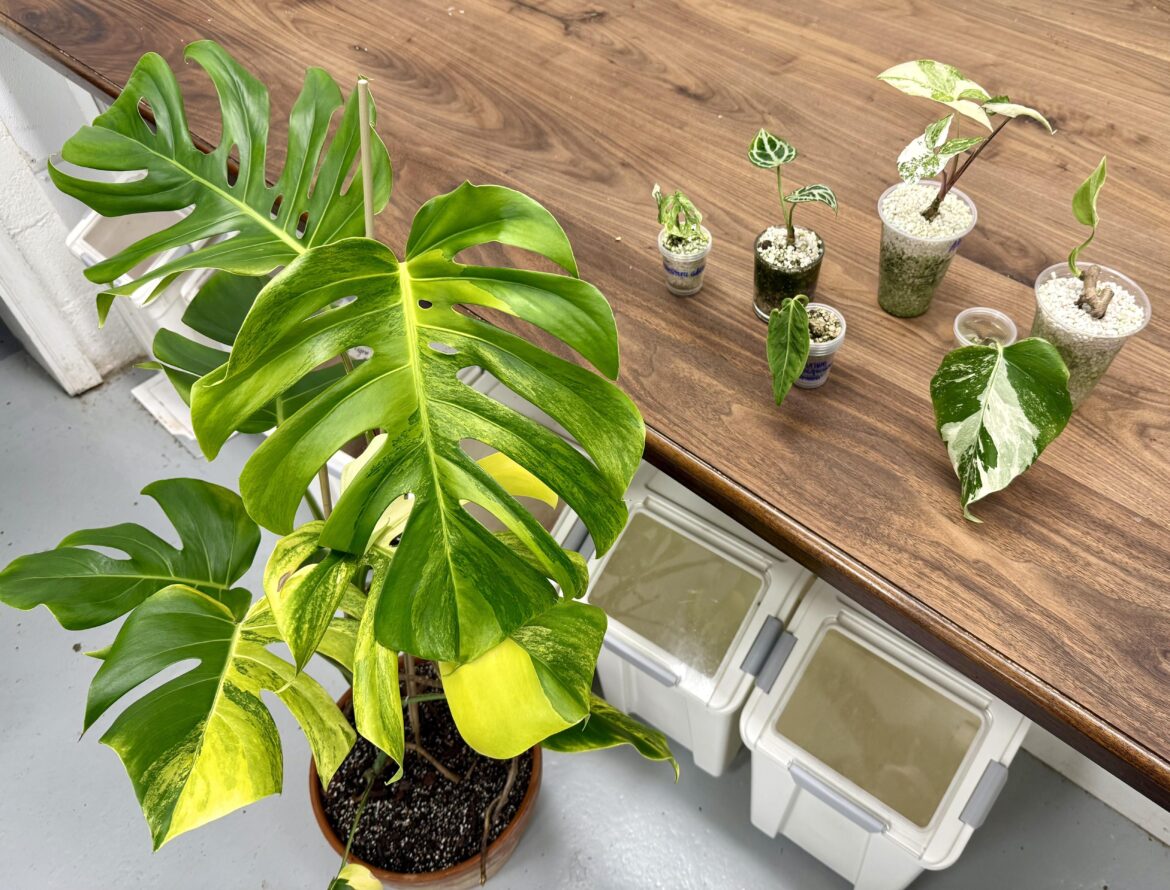 Had to share my haul from tonight. I’m blown away right now.