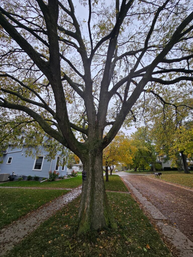 I’m guessing she’s a goner? I'm guessing she's a goner?