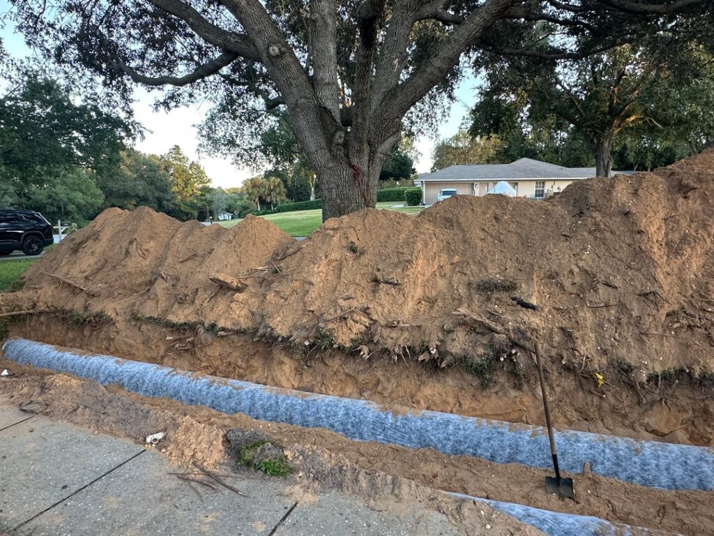 Is the stability of this oak tree compromised now?