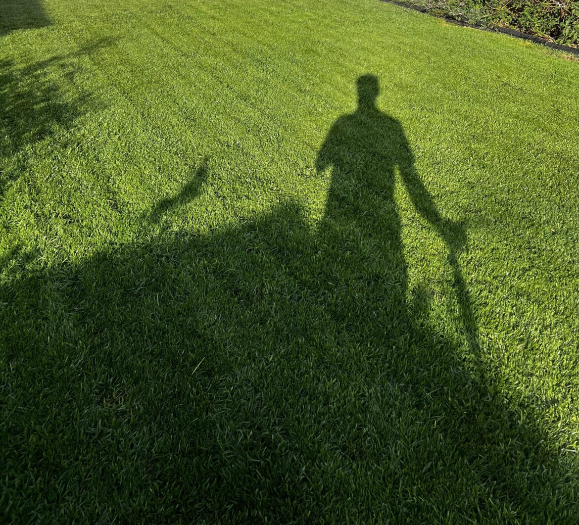 What to do after over seeding zone 10a What to do after over seeding zone 10a