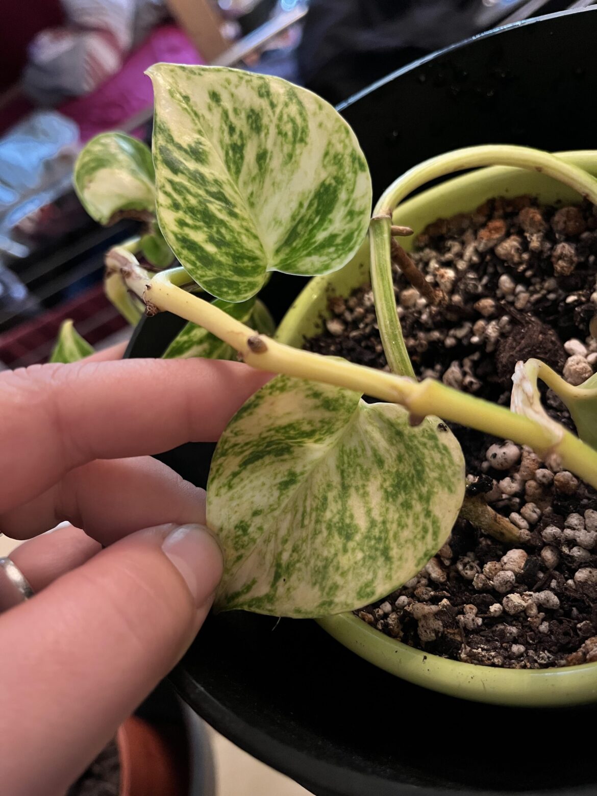 What even is she doing… What even is she doing…