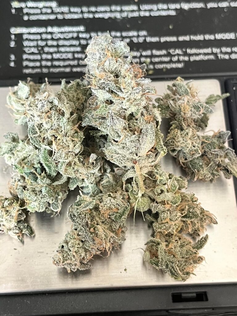 Kush mintz 4oz grow hydroponics 4x2 tent 200w