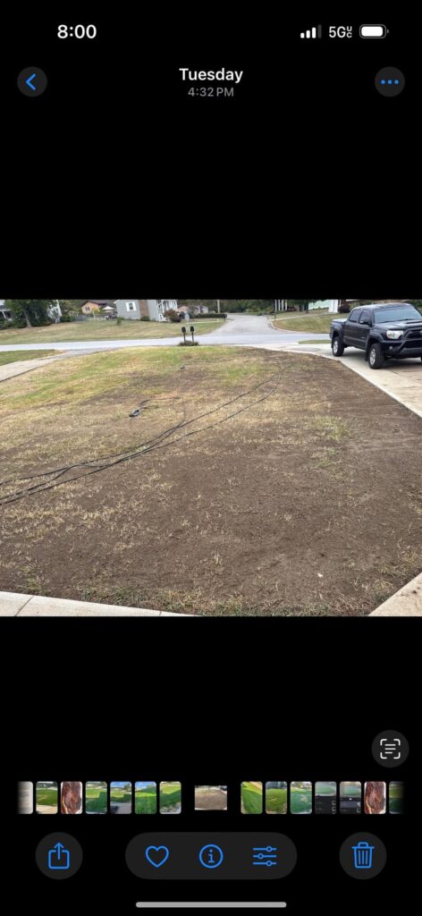 1 month old New lawn